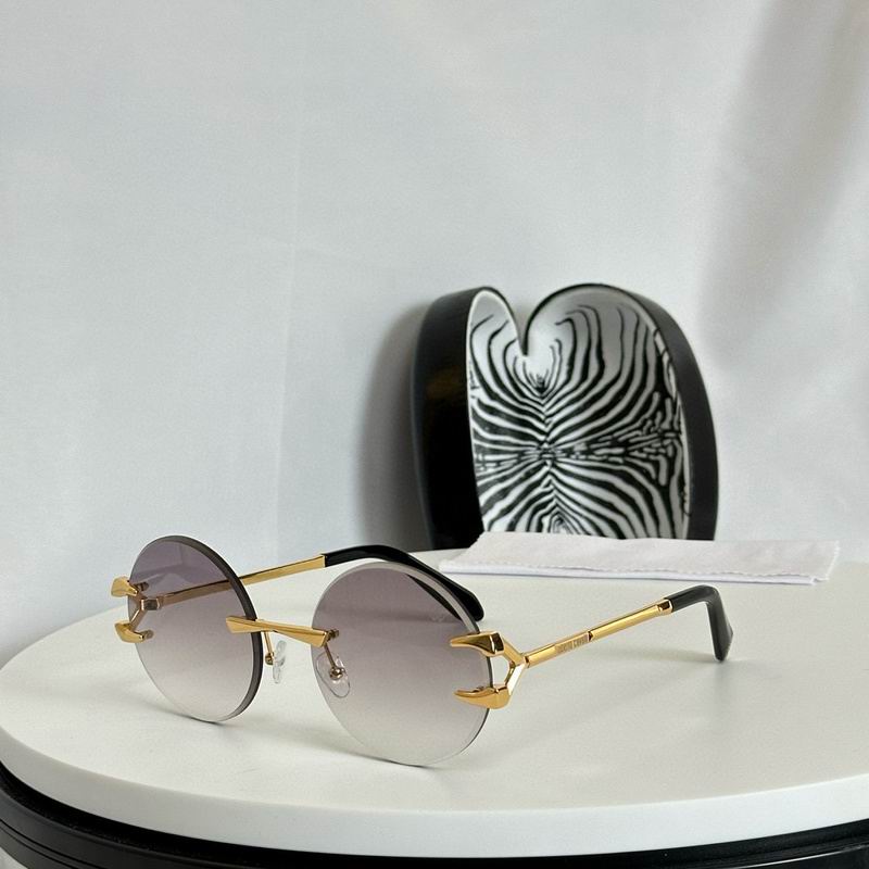 Roberto Cavalli Glasses (7)